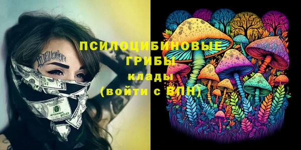 молекула духа Белоозёрский