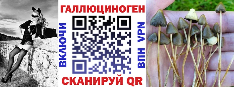 OMG зеркало  Гагарин  Псилоцибиновые грибы мицелий 
